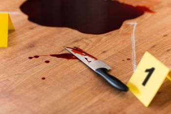 Four Tren de Aragua Gang Members Plead Guilty to Bronx Double Murder — Still a 'Talking Point'?